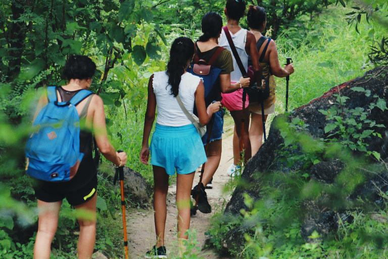 Salalah Adventure: Hike, Swim &amp; Dine at Ayn Ghaith Waterfall