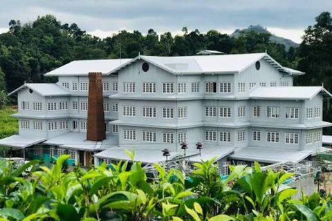 Colombo to Kandy Tea Factory and Temple Private Tour By Car