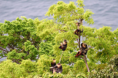 Excursión Diaria Paseo y Excursión por la Fauna de Son Tra (Opción Cena)