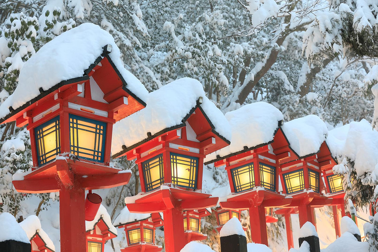 Kyoto: Arashiyama, Sanzen-in & Kifune Shrine Day Trip Departure from Osaka (Basic Package)