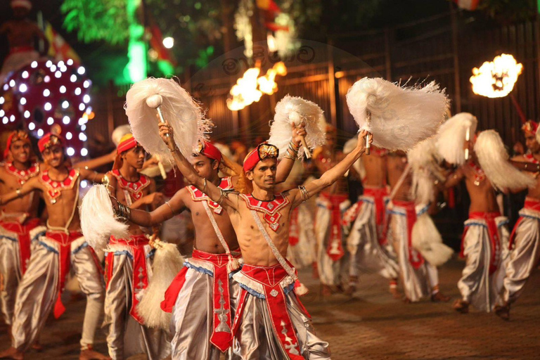 Kandy Esala Perahara Premium & VIP Viewing Tickets