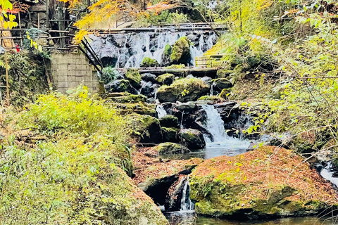 Private Shore Tour:Osaka, Kyoto, Nara, Kobe & Himeji