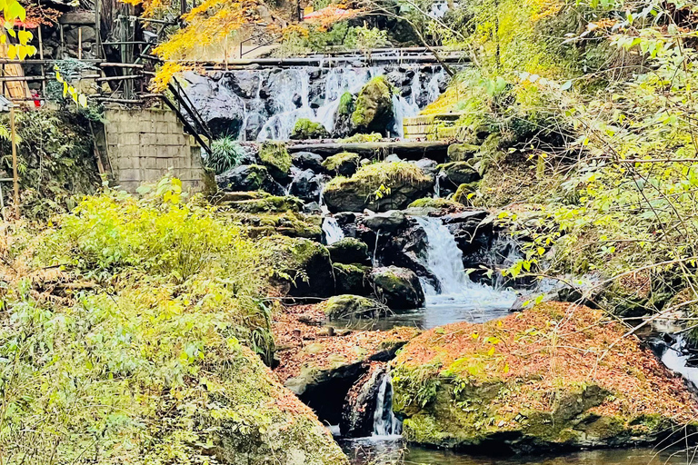 Private Shore Tour:Osaka, Kyoto, Nara, Kobe & Himeji