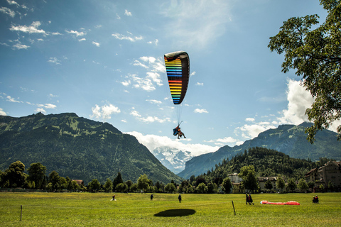 Från Lucerne: Dagsutflykt till Interlaken