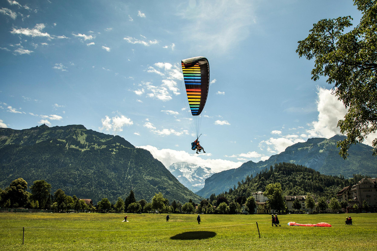 Från Lucerne: Dagsutflykt till Interlaken