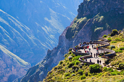 From Arequipa: Colca Canyon Full-Day Tour