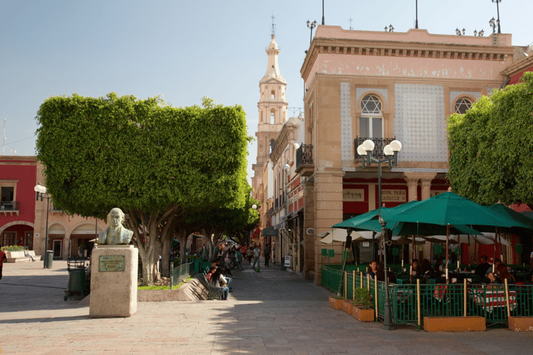 Leon: City Center Guided Tour with Nieve de Garrafa Tasting