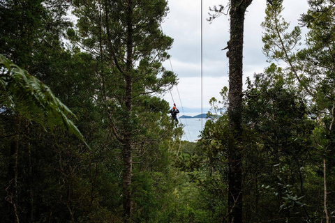 Auckland: Waiheke Island Man O' War Forest Flight Zipline Auckland: Waiheke Island Man O' War Zipline Adventure