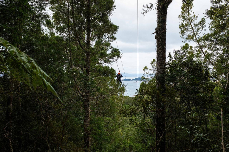 Auckland: Waiheke Island Man O' War Forest Flight Zipline Auckland: Waiheke Island Man O' War Zipline Adventure