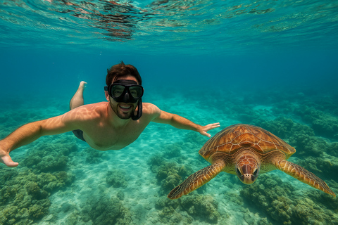马斯喀特：在达亚马尼亚特群岛与海龟一起浮潜和皮划艇半日团体浮潜和皮划艇之旅，与海龟同行