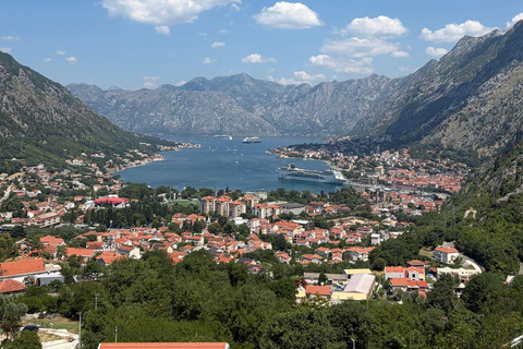 Kotor: Blue Cave Speedboat & Panoramic TukTuk Combo Tour