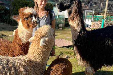 Visita al santuario degli animali di Cochahuasi con gli animali salvati