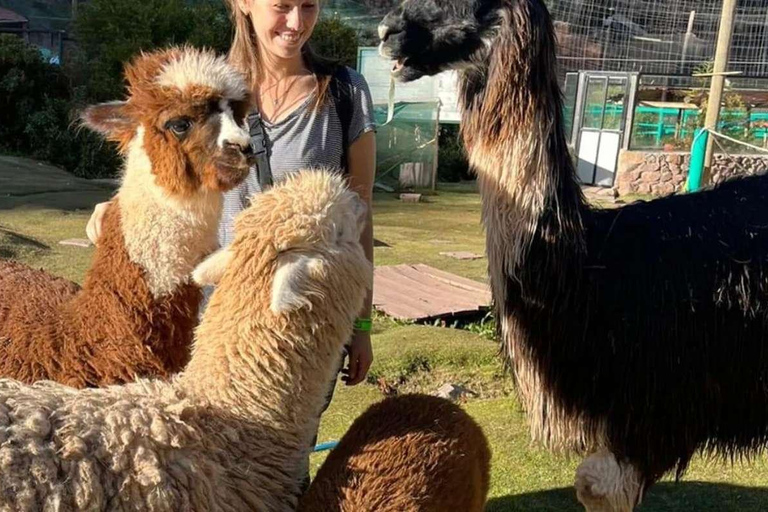 Bezoek aan het Cochahuasi dierenasiel met gered dier