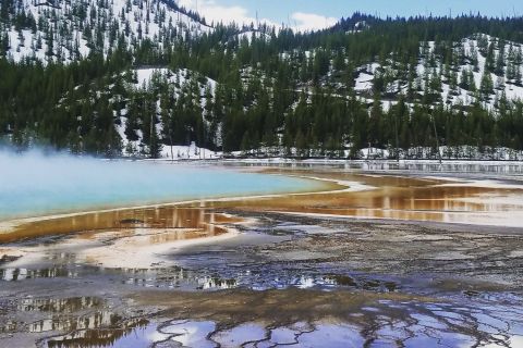 From Jackson: Full-Day Yellowstone National Park Tour