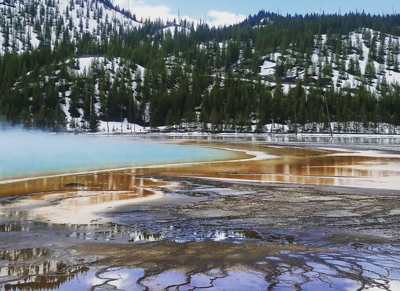 Fra Jackson: Dagsudflugt til Yellowstone National Park med frokost