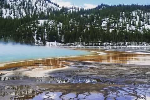 Jackson, Wyoming: Full-Day Yellowstone Lower Loop Tour