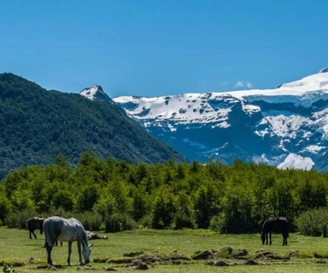 Bariloche: Tour del Cerro Tronador e del Ghiacciaio Ventisquero Negro