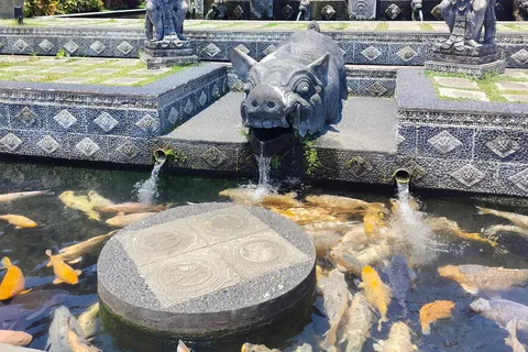 Bali: Tour privato personalizzato di un giorno intero con autista