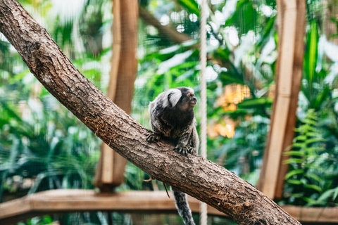 Poczdam: Bilet wstępu do Biosphäre Potsdam