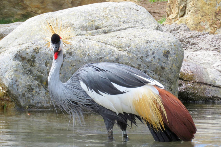 Safaris de 3 DÍAS con elefantes en Tarangire y el cráter del NgorongoroSafaris de 3 días con elefantes en Tarangire y el cráter del Ngorongoro