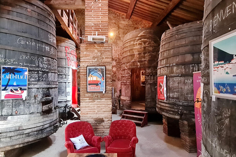 Wine Tour by minibus: Picnic Day and Wines around Perpignan Privatization