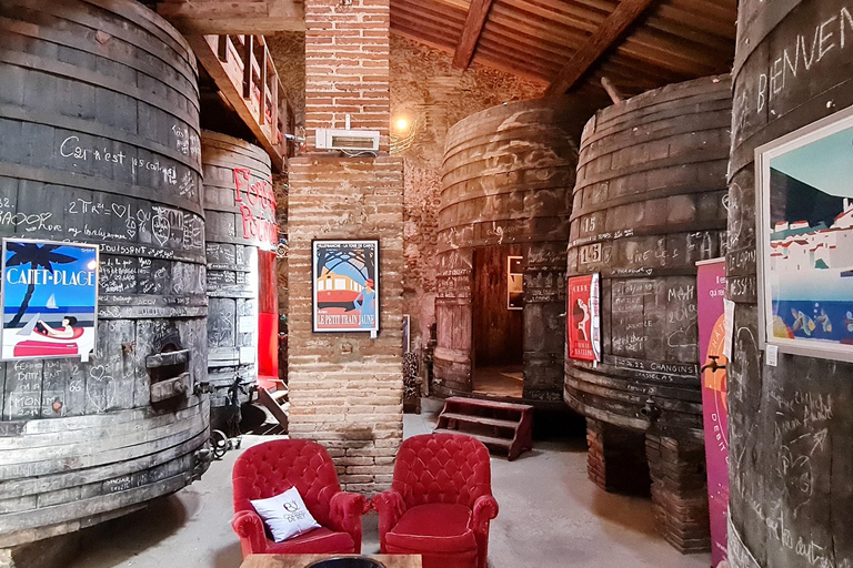 Wine Tour by minibus: Picnic Day and Wines around Perpignan Privatization