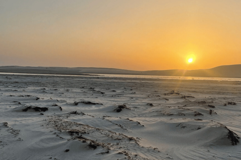 Doha: Desert Safari, ATV Quad, Camels, Sandboard& Inland Sea Private Desert Safari With Hotel Transfer and camel ride