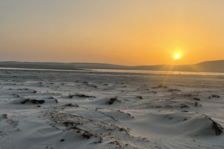 Doha: Desert Safari, ATV Quad, Camels, Sandboard& Inland Sea Private Desert Safari With Hotel Transfer and camel ride