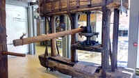 Mystras Castle Town, Sparta, Olive Museum Private Day Tour - Housity