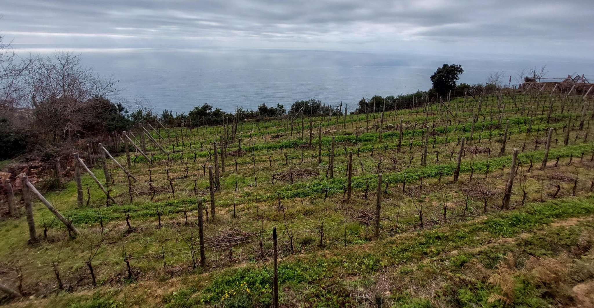 Escursione da Riomaggiore a Portovenere - Hizvo