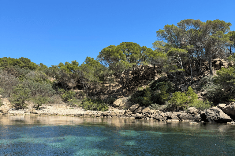 Majorca: Visit the Natural Park of Dragonera Island by boat