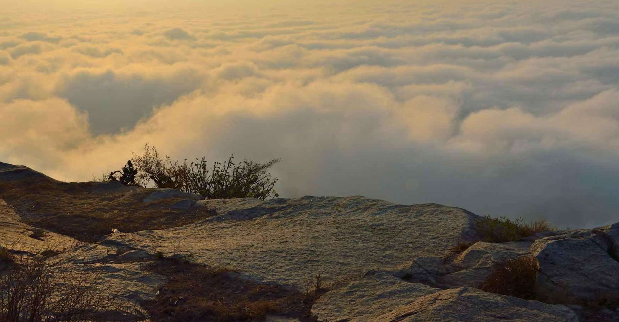 Gita giornaliera a Nandi Hills (Tour guidato privato da Bangalore) - Hizvo