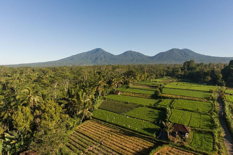 Bali: Tour culturale del villaggio con lezione di cucina
