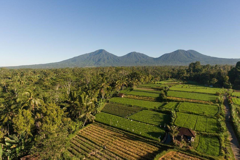 Bali: Tour culturale del villaggio con lezione di cucina