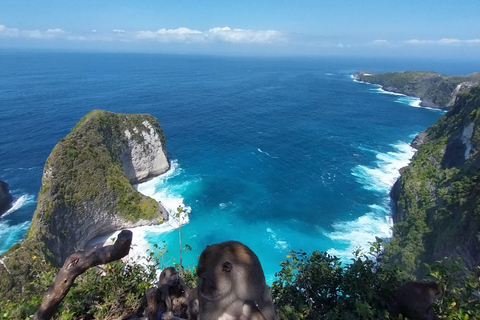 Nusa Penida : Visite guidée d&#039;une journée avec un chauffeur local comme guide