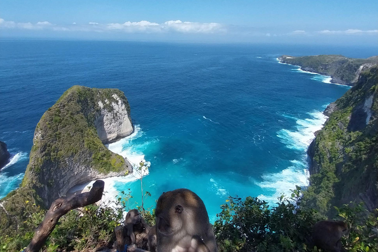 Nusa Penida : Visite guidée d&#039;une journée avec un chauffeur local comme guide