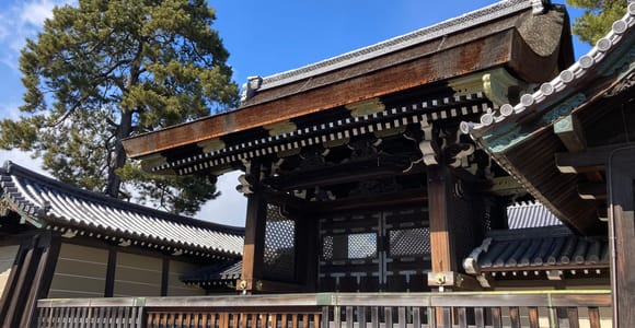 Kyoto: Nijo Castle and Kyoto Imperial Palace Guided Tour
