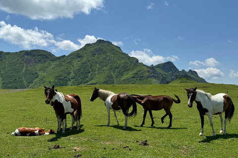 Kutaisi: From the Wild Caucasus Mountains to the Black Sea