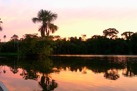 Puerto Maldonado: 4-tägiges Amazonas-Regenwald-Abenteuer