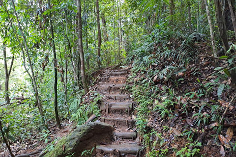 辛哈拉加雨林之旅