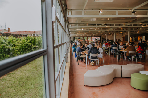 Visita e almoço na vinícola Bouza