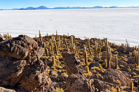 Uyuni: 3-Day Salt Flats Expedition to San Pedro de Atacama Uyuni Tour with Local Spanish Driver