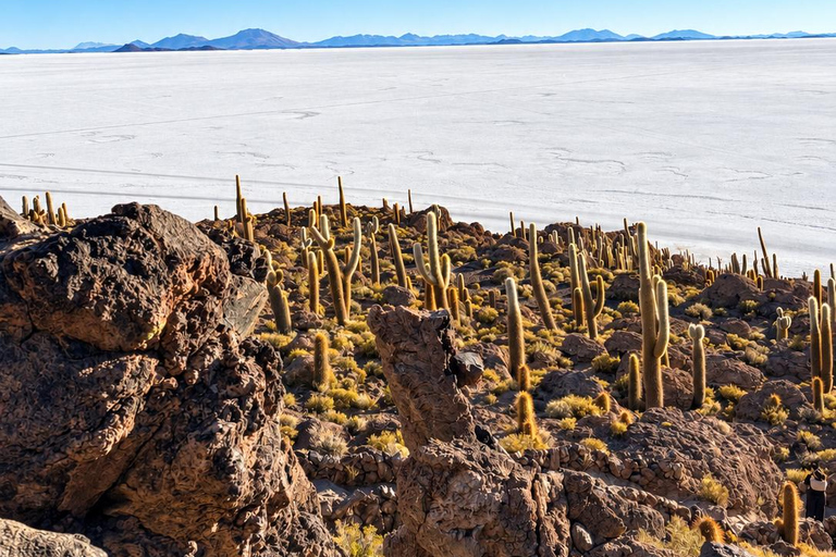 Uyuni: 3-Day Salt Flats Expedition to San Pedro de Atacama Uyuni Tour with Local Spanish Driver