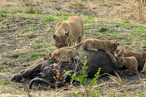 Arusha: 4 giorni di safari nel Serengeti e nel cratere Ngorongoro