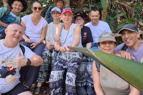 Chiang Rai: Hill Tribe Trek, Waterfall, & Hot Springs Tour
