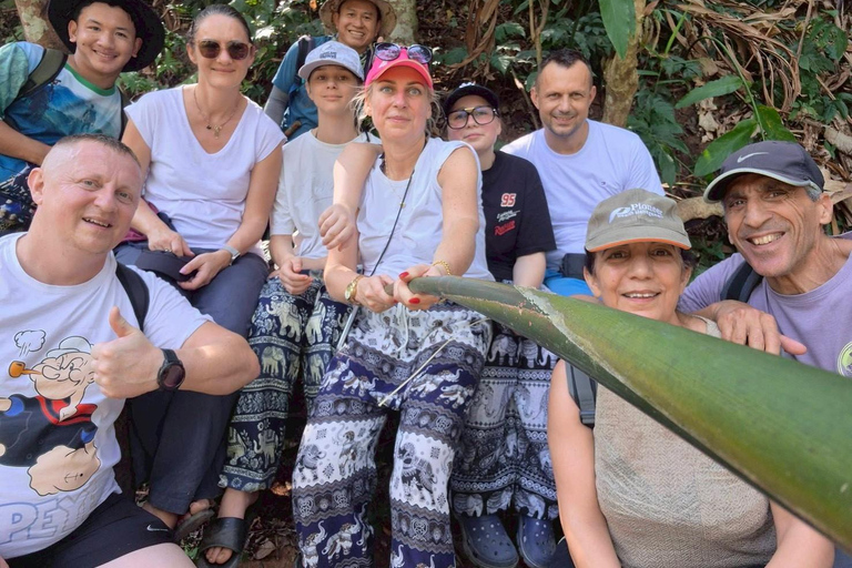 Chiang Rai: Hill Tribe Trek, Waterfall, & Hot Springs Tour