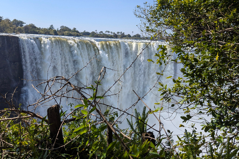 Victoria Falls: Airport Transfer, Falls Tour & Village Visit