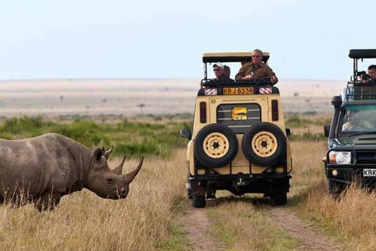 Z Nairobi: 4-dniowe prywatne safari w Masai Mara i nad jeziorem Nakuru4 dni Masai Mara i Park Narodowy Jeziora Nakuru