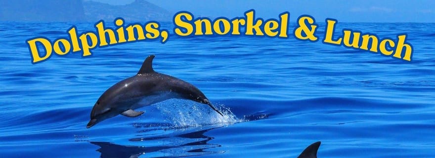 Plongez au paradis : Les dauphins de Manzanillo, plongée en apnée et déjeuner