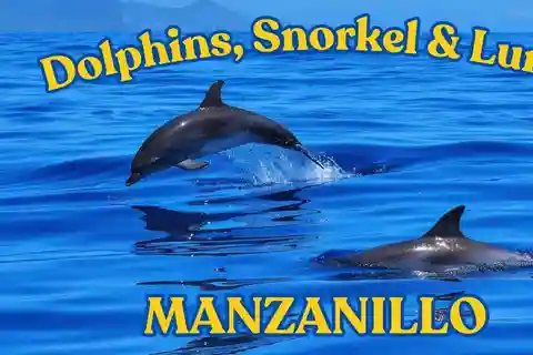 Dyk ned i paradis: Manzanillos delfin, snorkling og frokost